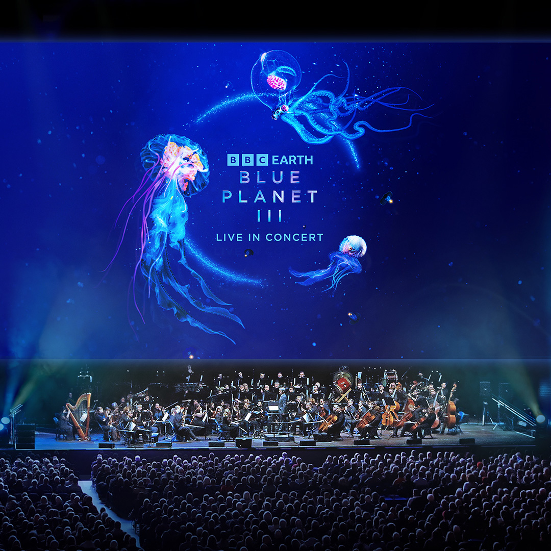 nfo tickets image